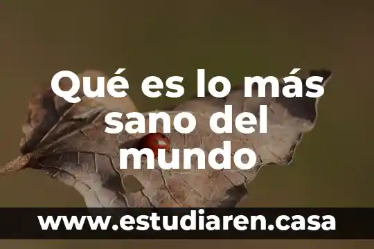 Que es la comprension mas amplia del mundo 4 Qué es lo más sano del mundo