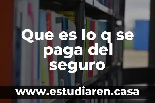 Que es lo q se paga del seguro