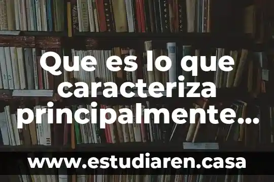 Que es cuadro sinoptico de las medidas cautelares 6 Que es lo que caracteriza principalmente en un cuadro sinoptico
