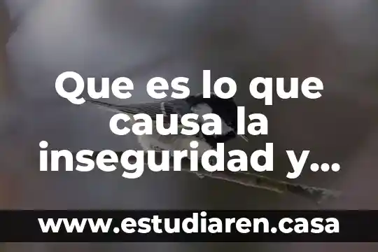 Que es el contenido de un texto ejemplo 7 Que es lo que causa la inseguridad y la migracion