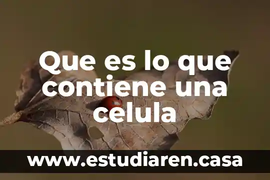 Que es lo que contiene una celula