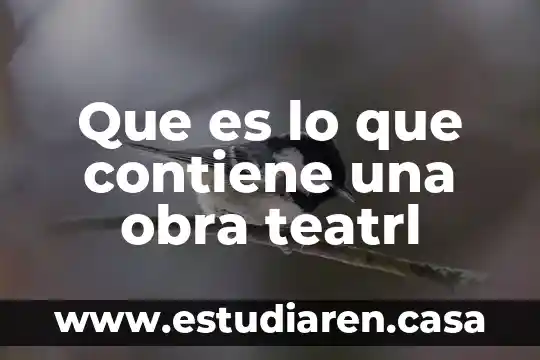 Que es lo que contiene una obra teatrl