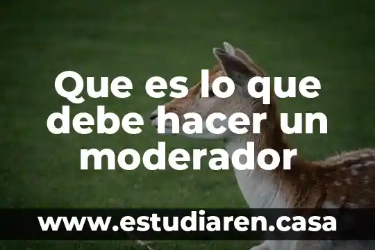 Por que es importante hacer un huerto urbano 3 Que es lo que debe hacer un moderador