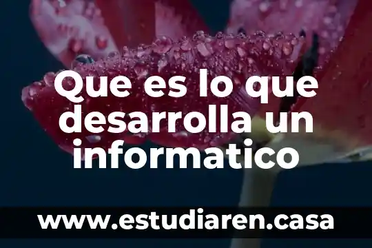 Desarrolla educativa que es 4 Que es lo que desarrolla un informatico