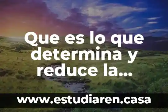 Qué es el desequilibrio de articulaciones 6 Que es lo que determina y reduce la organizacion