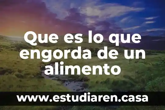 Para que es necesario saber el gramage de un alimento 5 Que es lo que engorda de un alimento
