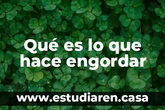 Qué es lo que hace engordar