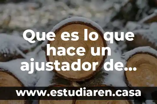 Que es un composta y como se hace 5 Que es lo que hace un ajustador de seguros