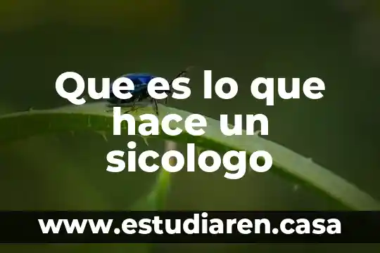 Que es y que hace gatt 8 Que es lo que hace un sicologo
