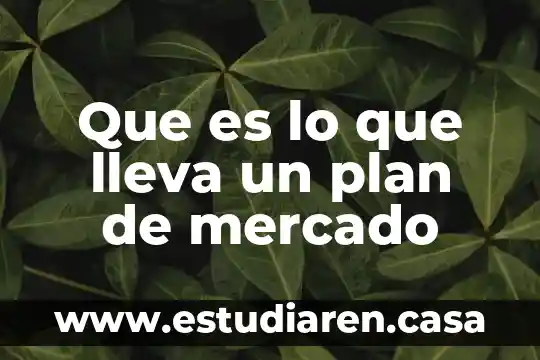 Que es lo que lleva un plan de mercado