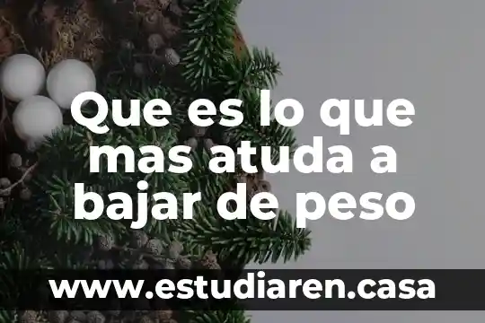 Que es peso y dar un ejemplo 5 Que es lo que mas atuda a bajar de peso