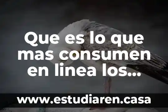 Los mexicanos conocen lo que es un huipil 3 Que es lo que mas consumen en linea los mexicanos