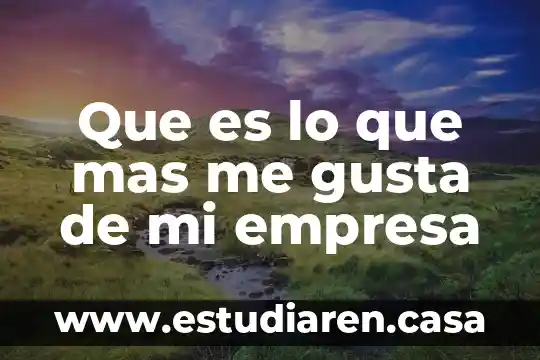 Que es lo que mas te gusta del boxeo 4 Que es lo que mas me gusta de mi empresa
