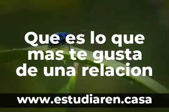 Que es lo que mas te gusta del boxeo 3 Que es lo que mas te gusta de una relacion