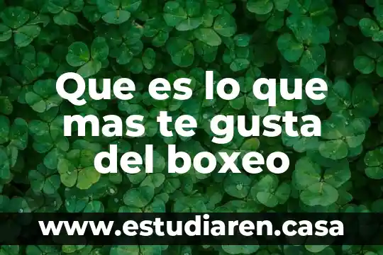 Que es lo que mas les gusta hacer en familia 8 Que es lo que mas te gusta del boxeo