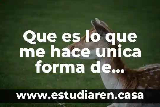 Qué es y para qué sirve un espin 7 Que es lo que me hace unica forma de pregunta