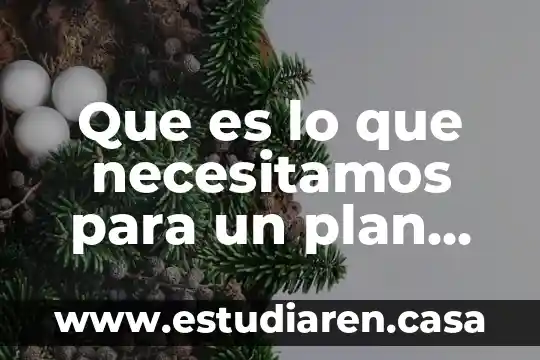Que es la gestion de un negocio 3 Que es lo que necesitamos para un plan de negocio