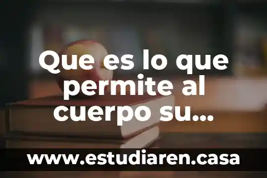Que es un movimiento lateral suello 7 Que es lo que permite al cuerpo su movimiento