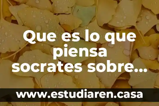 Que es lo que piensa socrates sobre el ser humano