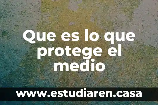 Que es un medio intreno 4 Que es lo que protege el medio