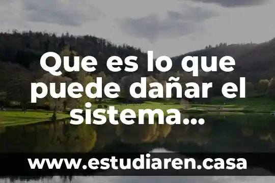 Que es lo que puede dañar el sistema inmunológico