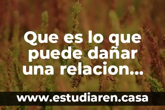 Solo aquello que es medible puede mejorarse 7 Que es lo que puede dañar una relacion afectiva