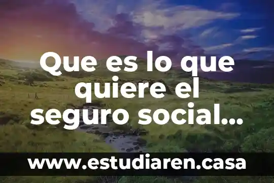 Que es el seguro de arrendamiento 7 Que es lo que quiere el seguro social gif