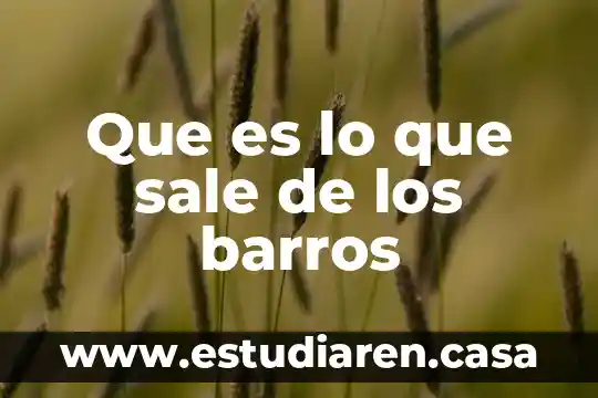 Que es lo que sale de los barros