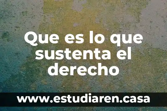 Qué es el derecho patriarcal bíblicamente 3 Que es lo que sustenta el derecho