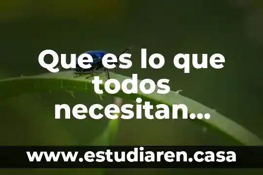 Que es lo que todos necesitan saber acerca de scm