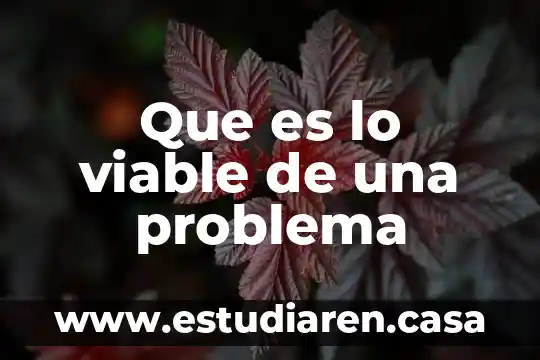 Que es el enfoque del problema en una investigacion 5 Que es lo viable de una problema