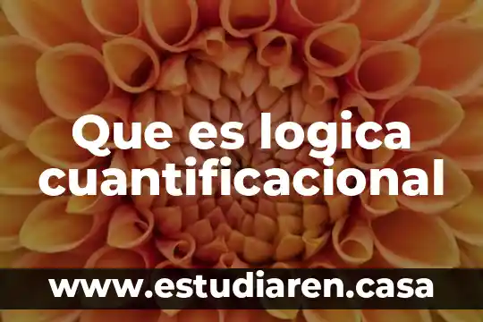 Que es logica cuantificacional