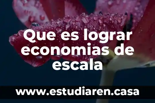 Que es un dibujo a escala ejemplos 3 Que es lograr economias de escala