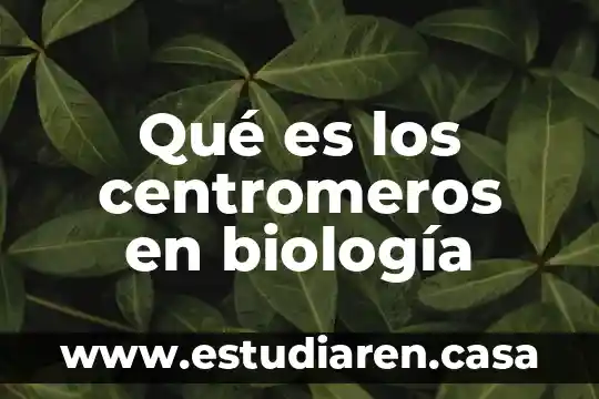 Qué es los centromeros en biología