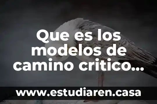 Que es los modelos de camino critico para tomar decisiones