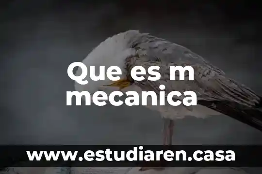Qué es aci de en mecánica 5 Que es m mecanica