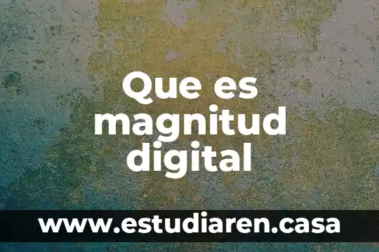 Que es magnitud digital