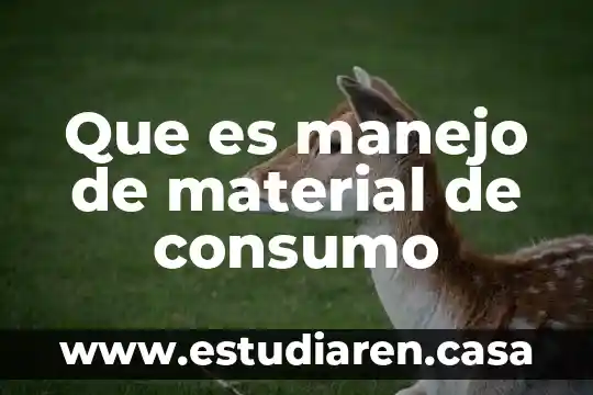 Que es manejo de material de consumo