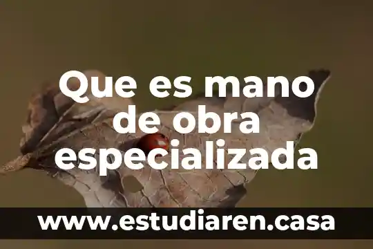 Que es el contrato audiovisual 4 Que es mano de obra especializada