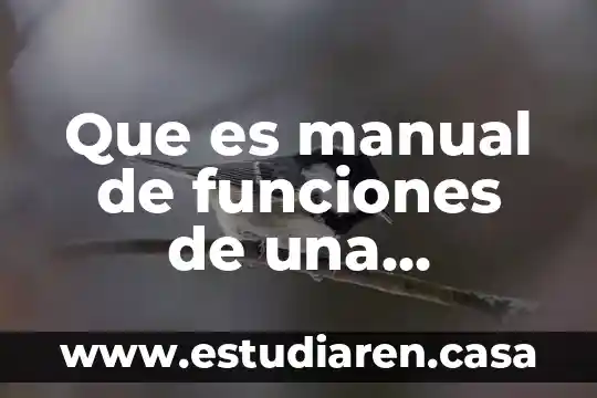 Que es manual de funciones de una empresa
