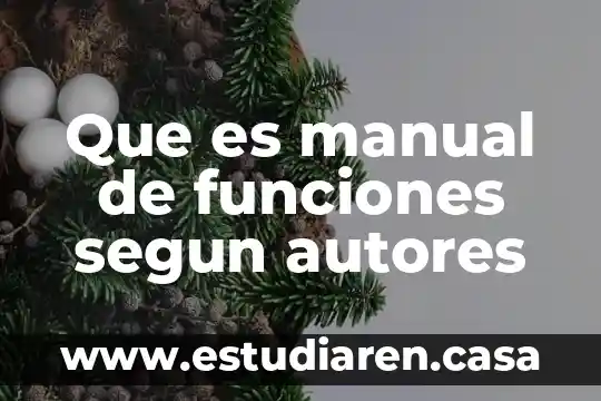 Que es manual de funciones segun autores