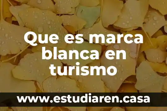Que es una marca blanca ejemplos 7 Que es marca blanca en turismo