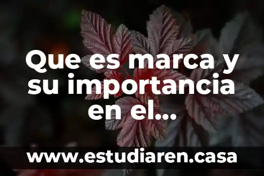 Qué es el inside en marketing 5 Que es marca y su importancia en el marketing