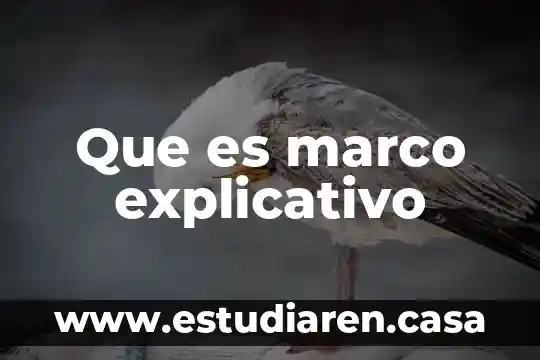 Que es el desplazamiento linguistico marco moctezuma 3 Que es marco explicativo
