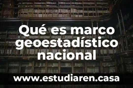 Qué es marco geoestadístico nacional