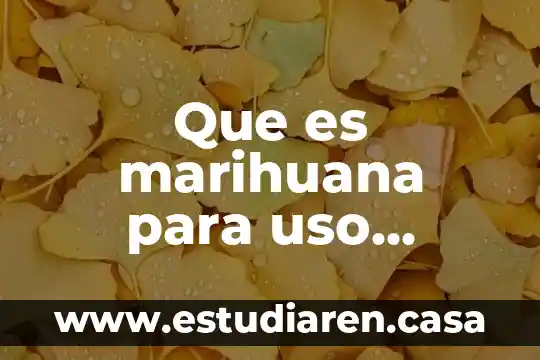 Que es el poleo planta medicinal 3 Que es marihuana para uso medicinal