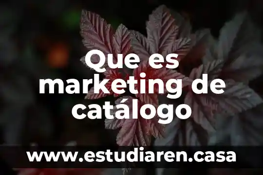 Que es marketing de catálogo