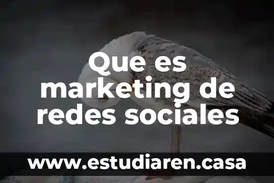 Qué es el inside en marketing 4 Que es marketing de redes sociales