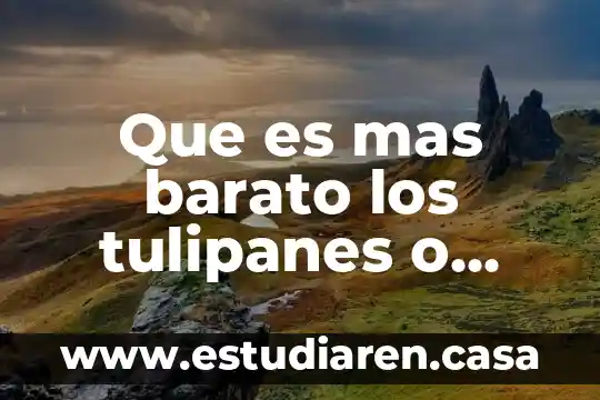 Que es mas barato los tulipanes o rosas en mexico