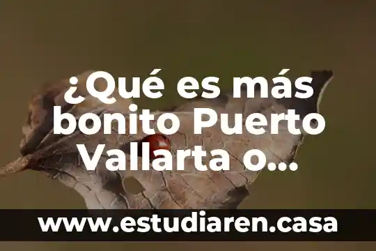 Que es mas importante la actitud o la habilidad 3 ¿Qué es más bonito Puerto Vallarta o Ixtapa Zihuatanejo?